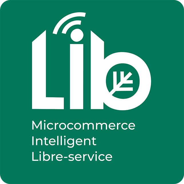 Logo LIB Dépanneur